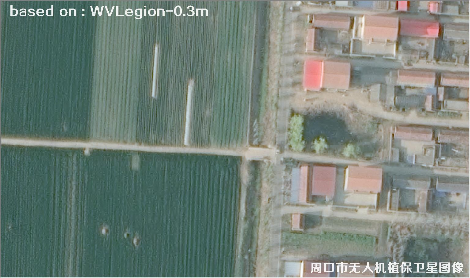 WorldViewLegion卫星2026年3月份拍摄的河南周口耕地0.3米卫星图像