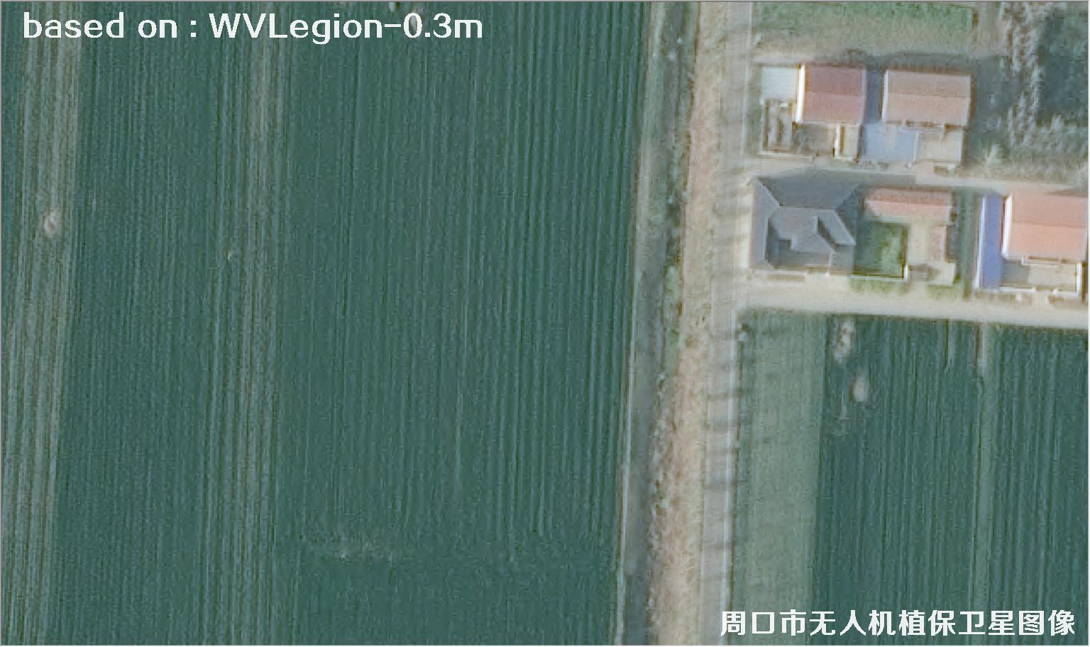 WorldViewLegion卫星2026年3月份拍摄的河南周口耕地0.3米卫星图像