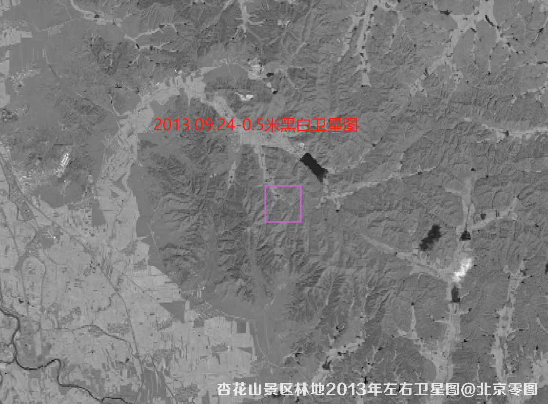 杏花山景区林地2013年左右卫星图
