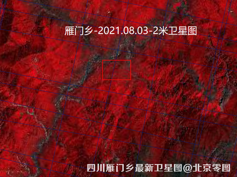 四川雁门乡最新卫星图查询结果