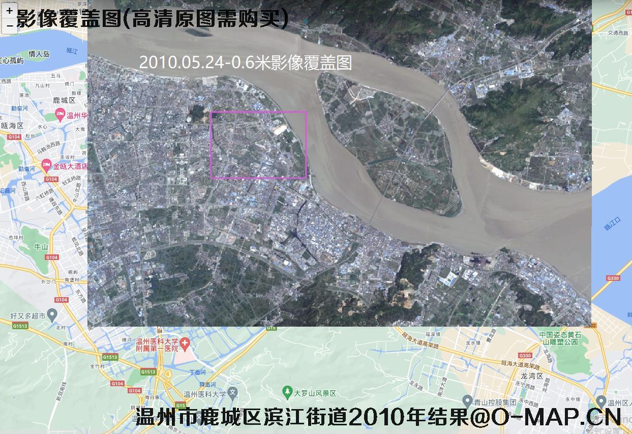 温州市鹿城区滨江街道2010年卫星图