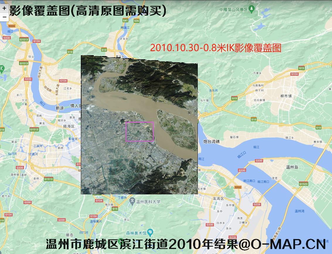 温州市鹿城区滨江街道2010年卫星图