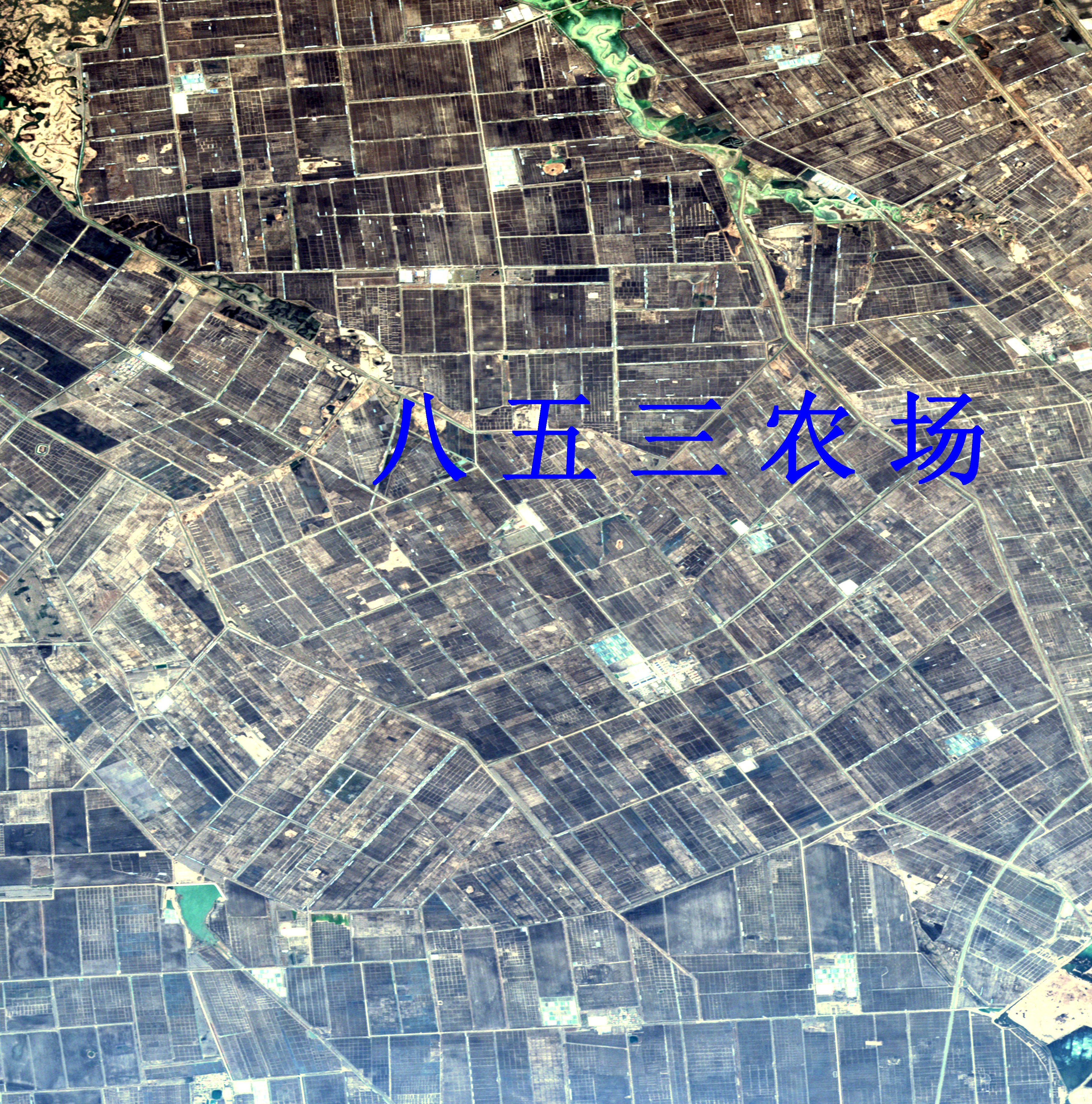 黑龙江省农业遥感卫星监测图-宝清县853农场遥感卫星图-tci真彩色影像