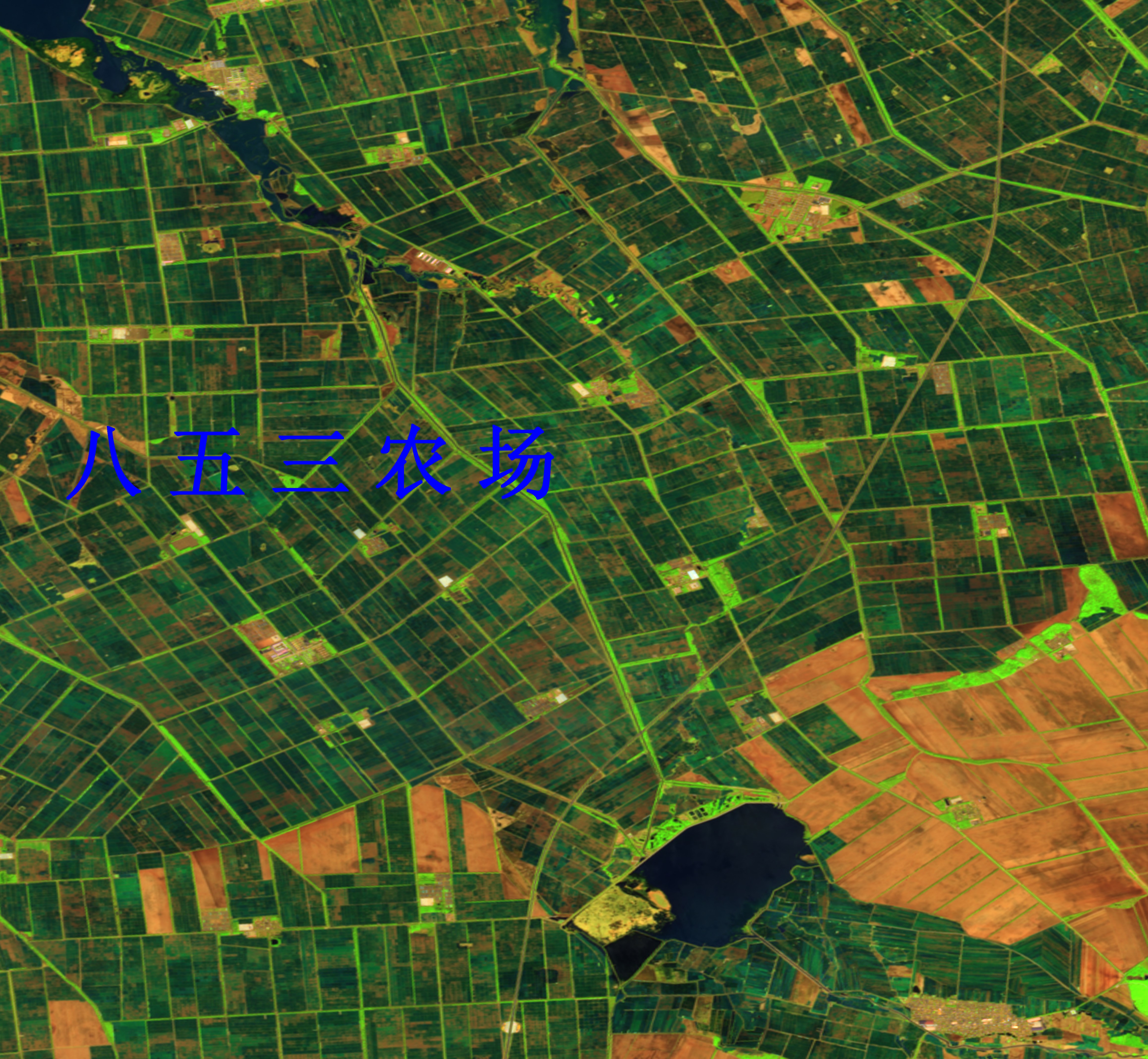 黑龙江省农业遥感卫星监测图宝清县853农场遥感卫星图agr农业专题图11