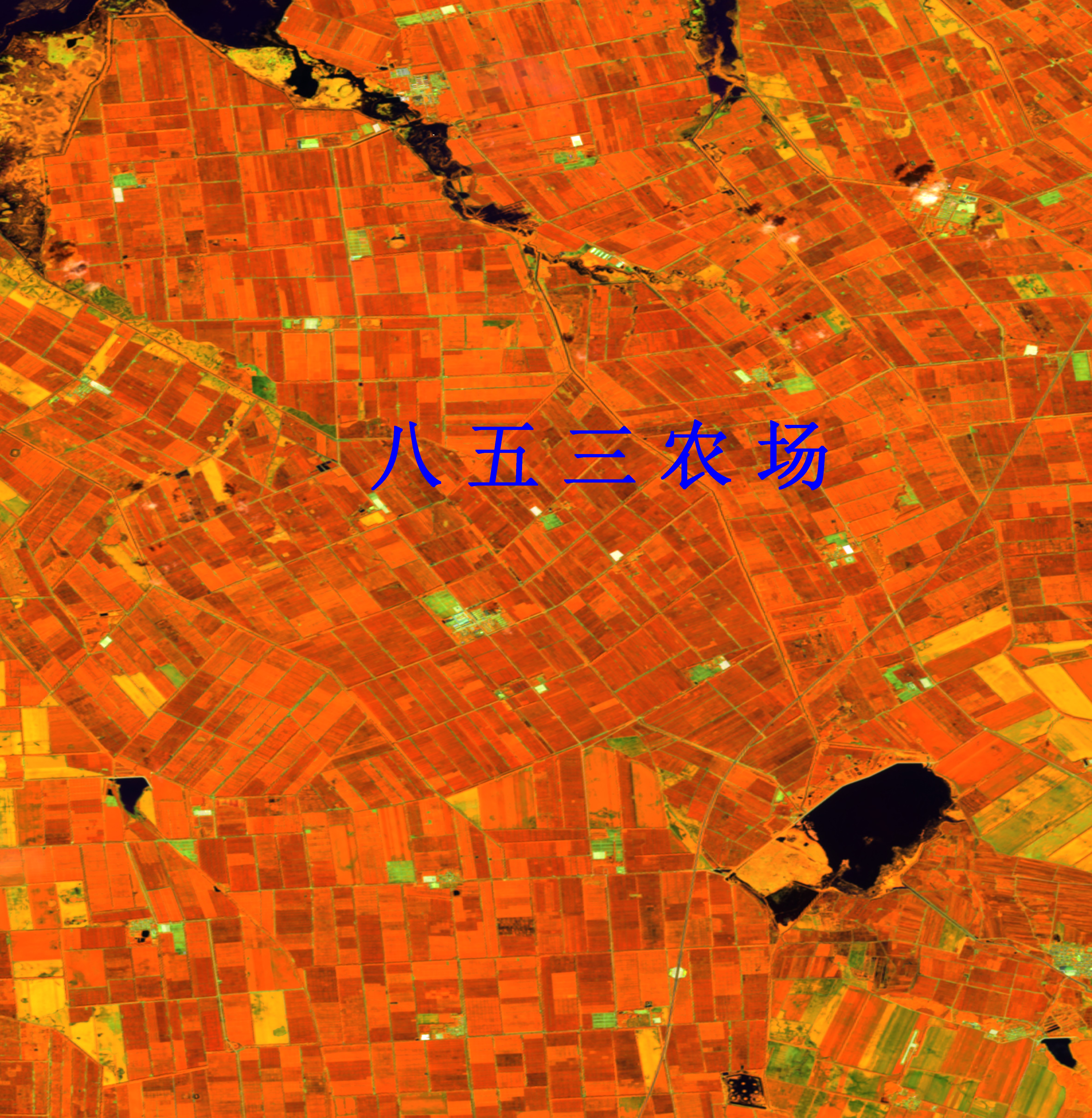 黑龙江省农业遥感卫星监测图-宝清县853农场遥感卫星图-hvi健康植被